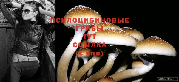 кокаин Елизово