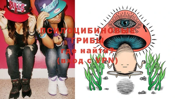 мяу мяу мука Елабуга