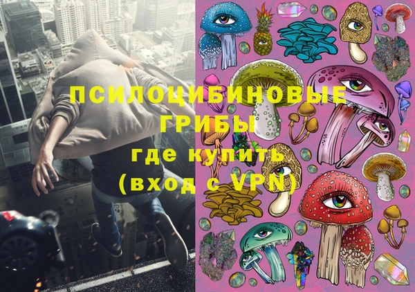 мяу мяу мука Елабуга