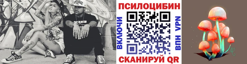 Галлюциногенные грибы Psilocybe  Купить  Краснокамск 